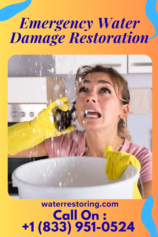 Emergency Water Damage Restoration in Lambert, MO